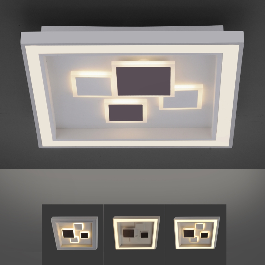 Paul Neuhaus 6283-16 - Φως οροφής dimmer LED ELIZA LED/30W/230V + LED/18,5W