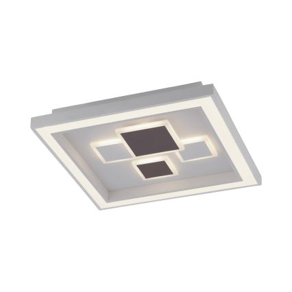Paul Neuhaus 6283-16 - Φως οροφής dimmer LED ELIZA LED/30W/230V + LED/18,5W