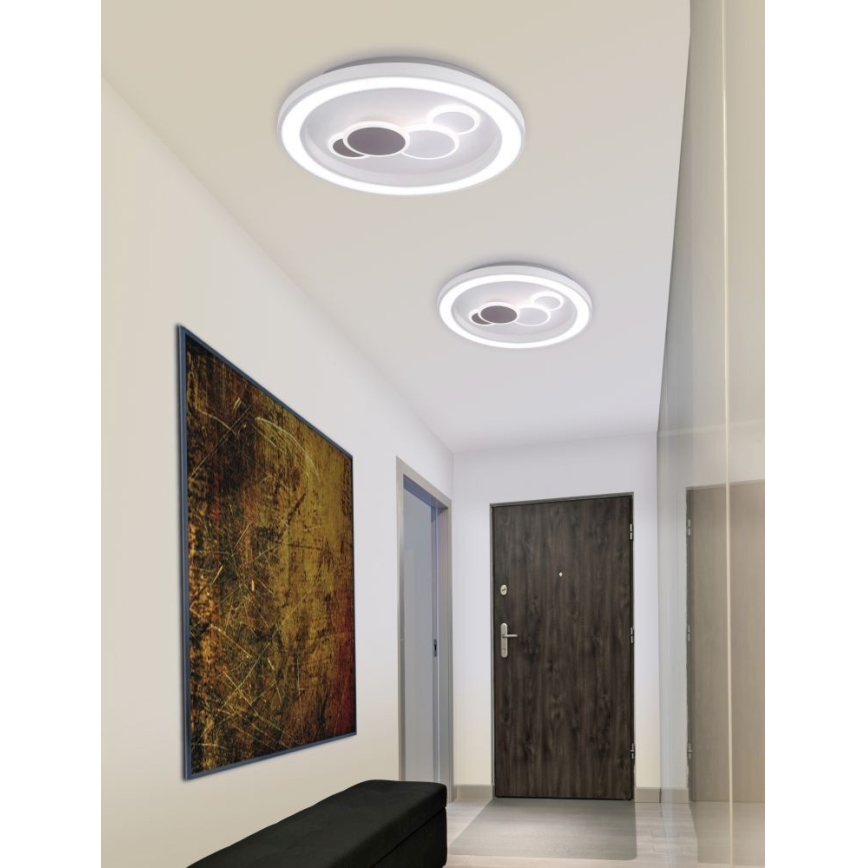 Paul Neuhaus 6284-16 - LED Οροφωτιστικό ELIZA LED/55,5W/230V διάμ. 60 εκ.