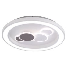Paul Neuhaus 6284-16 - LED Φωτιστικό οροφής ELIZA LED/55.5W/230V