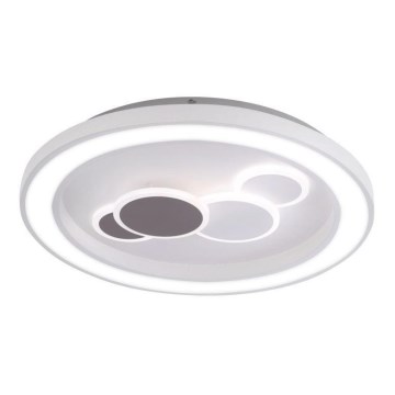 Paul Neuhaus 6284-16 - Φωτιστικό οροφής LED ELIZA LED/55,5W/230V διάμετρος 60 cm