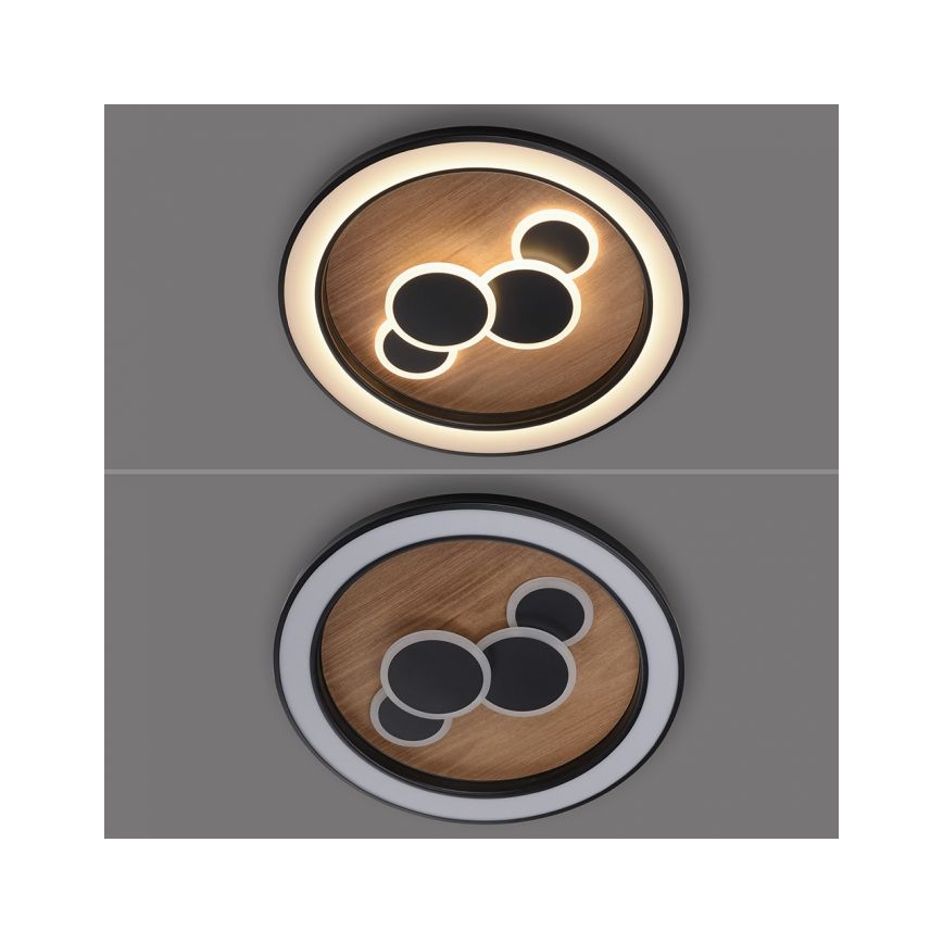 Paul Neuhaus 6284-79 - Φωτιστικό οροφής LED ELIZA LED/55,5W/230V διάμετρος 60 cm δρυς