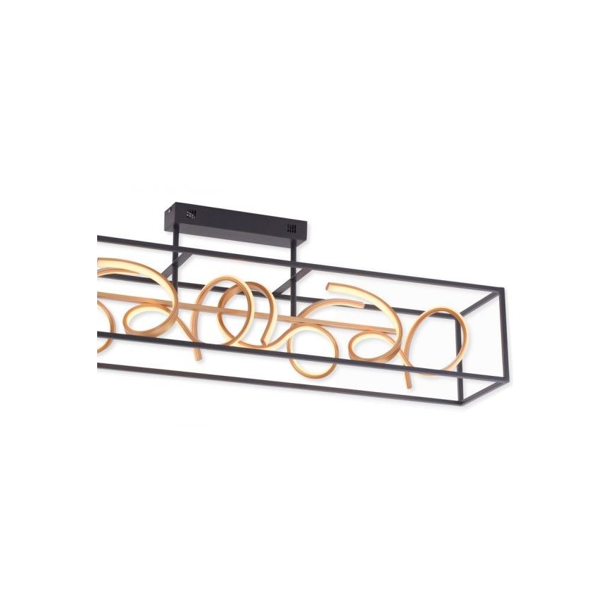 Paul Neuhaus 6473-18 - Κρεμαστό πολύφωτο dimmer LED SELINA 4xLED/10,2W/230V