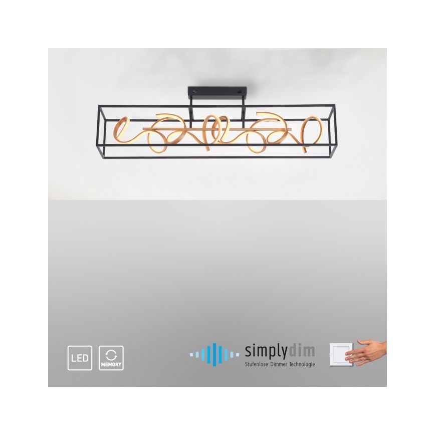 Paul Neuhaus 6473-18 - Κρεμαστό πολύφωτο dimmer LED SELINA 4xLED/10,2W/230V
