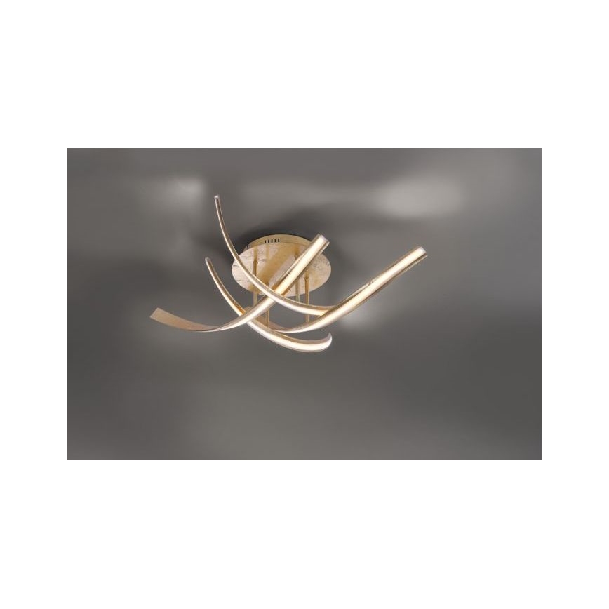 Paul Neuhaus 6474-12 - Πλαφονιέρα οροφής ντιμαριζόμενη LED LINDA 4xLED/7W/230V