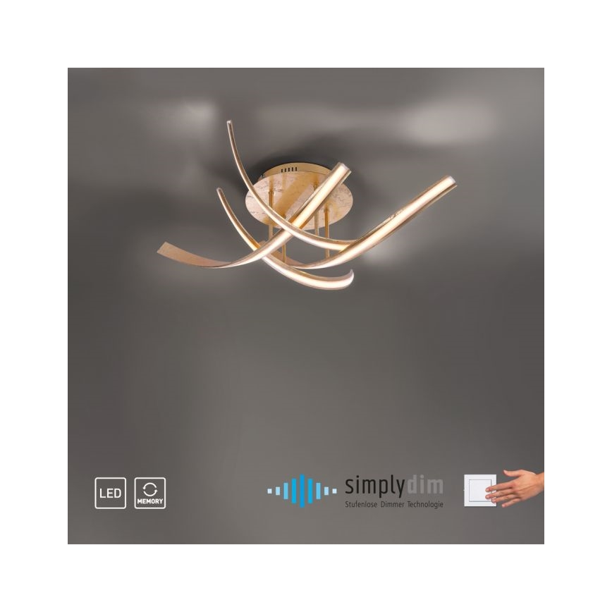 Paul Neuhaus 6474-12 - Πλαφονιέρα οροφής ντιμαριζόμενη LED LINDA 4xLED/7W/230V