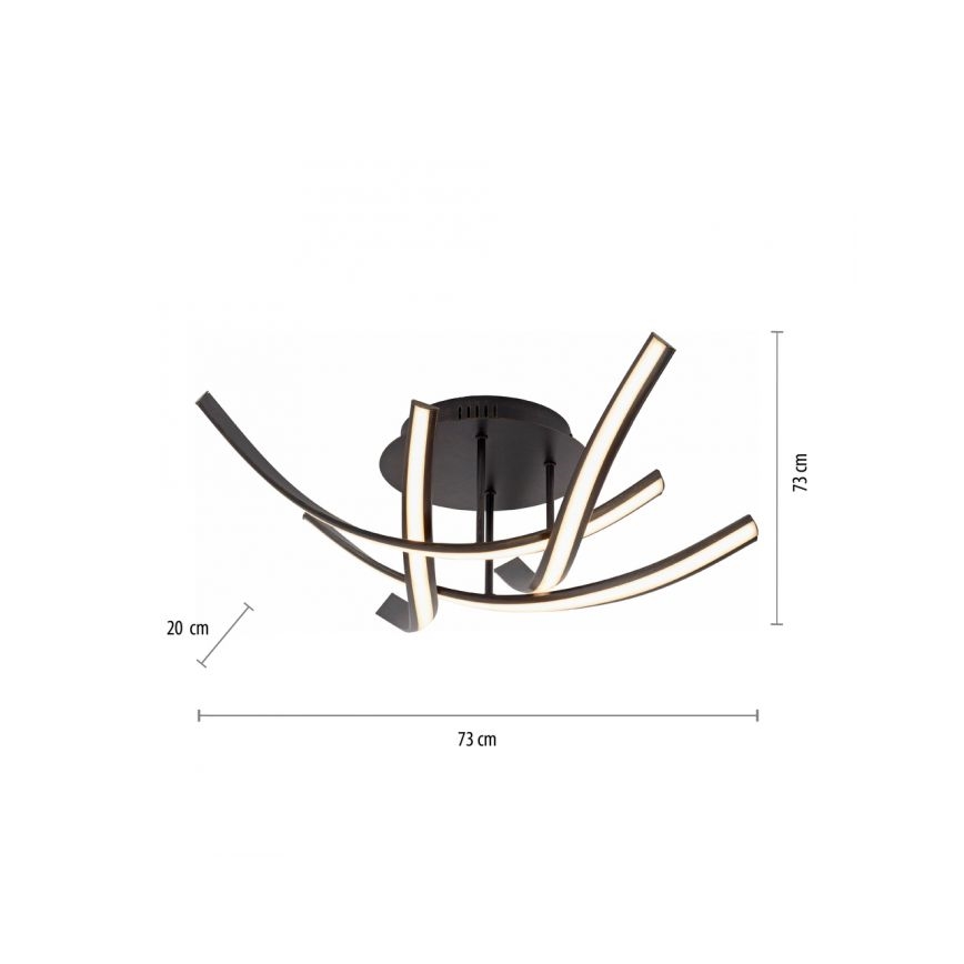 Paul Neuhaus 6474-48 - Πλαφονιέρα οροφής ντιμαριζόμενη LED LINDA 4xLED/7W/230V