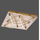 Paul Neuhaus 6544-12 - Φως οροφής LED JANO 4xLED/10W/230V