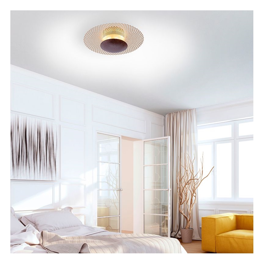 Paul Neuhaus 6551-48 - LED Dimmable φωτιστικό οροφής NEVIS LED/18W/230V