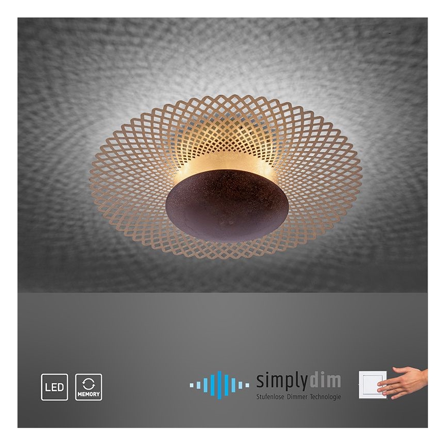 Paul Neuhaus 6551-48 - LED Dimmable φωτιστικό οροφής NEVIS LED/18W/230V