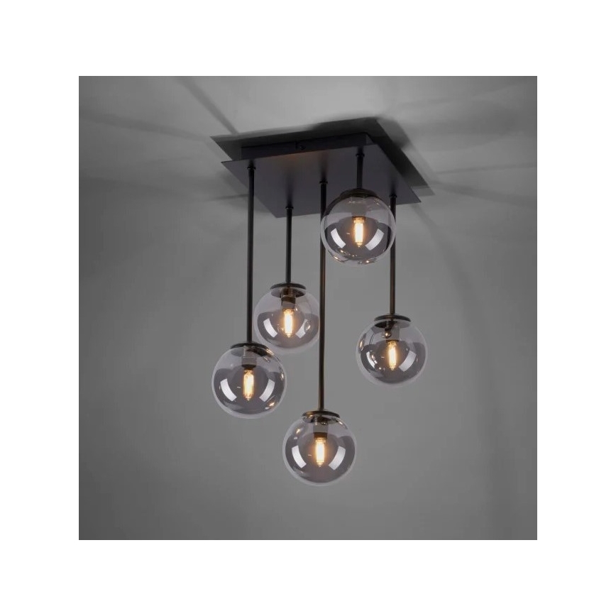 Paul Neuhaus 6719-18 - LED πολύφωτο WIDOW 5xG9/3W/230V