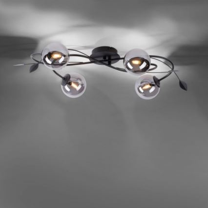 Paul Neuhaus 6724-18 - LED Πλαφονιέρα πολύφωτο WIDOW 4xG9/3W/230V