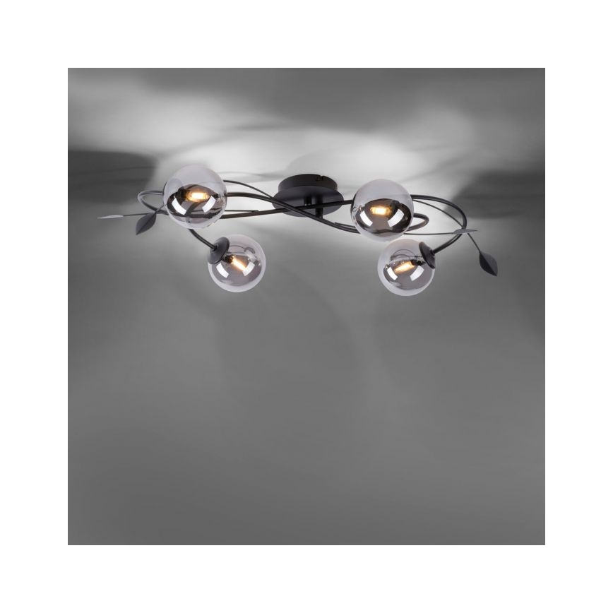 Paul Neuhaus 6724-18 - LED Πλαφονιέρα πολύφωτο WIDOW 4xG9/3W/230V