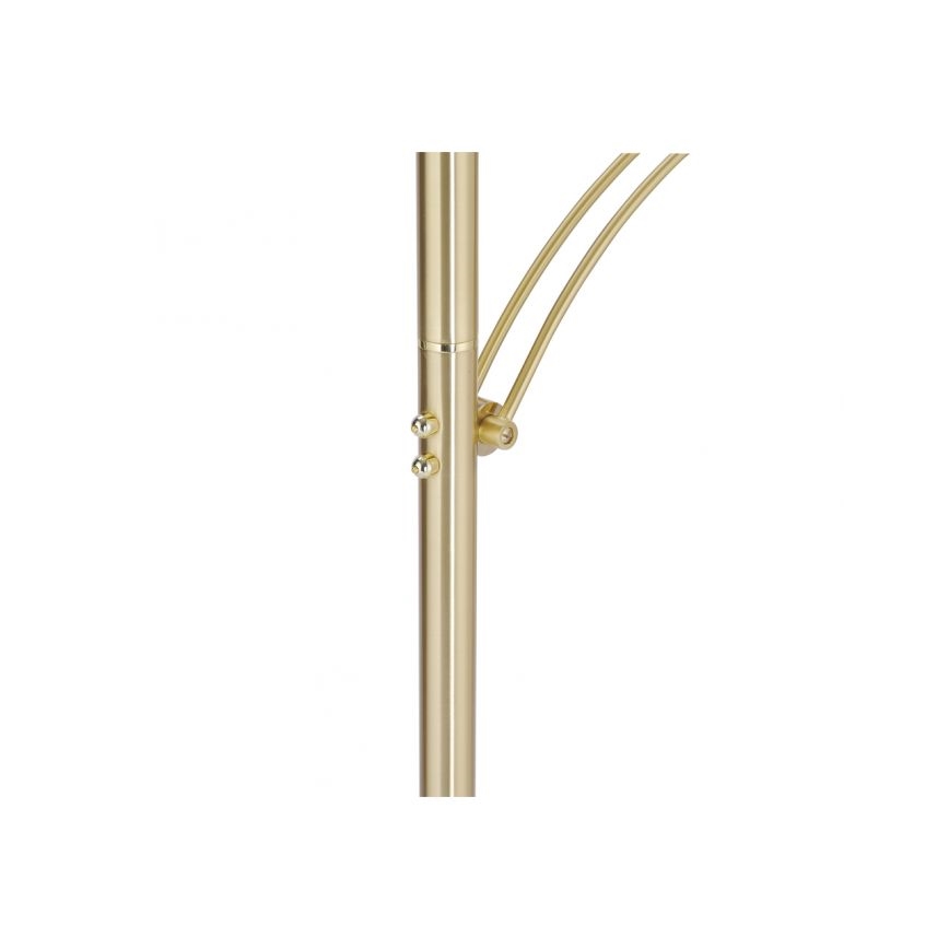 Paul Neuhaus 673-60 - Ρυθμιζόμενο επιδαπέδιο φωτιστικό LED ARTUR 2xLED/21W/230V+LED/6W χρυσό