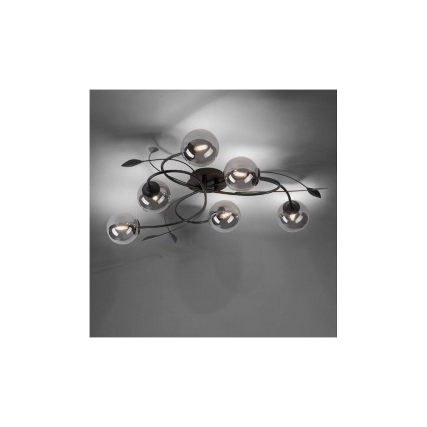 Paul Neuhaus 6737-18 - LED Πλαφονιέρα πολύφωτο WIDOW 6xG9/3W/230V
