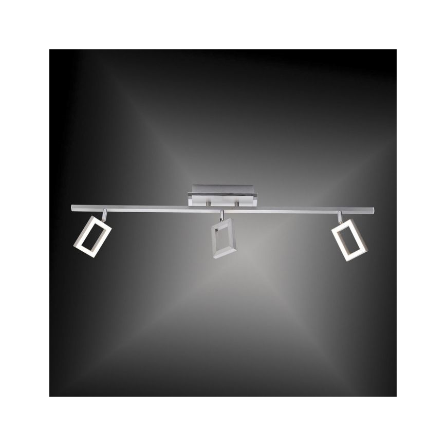 Paul Neuhaus 6959-55 - LED Σποτ INIGO 3xLED/4,2W/230V