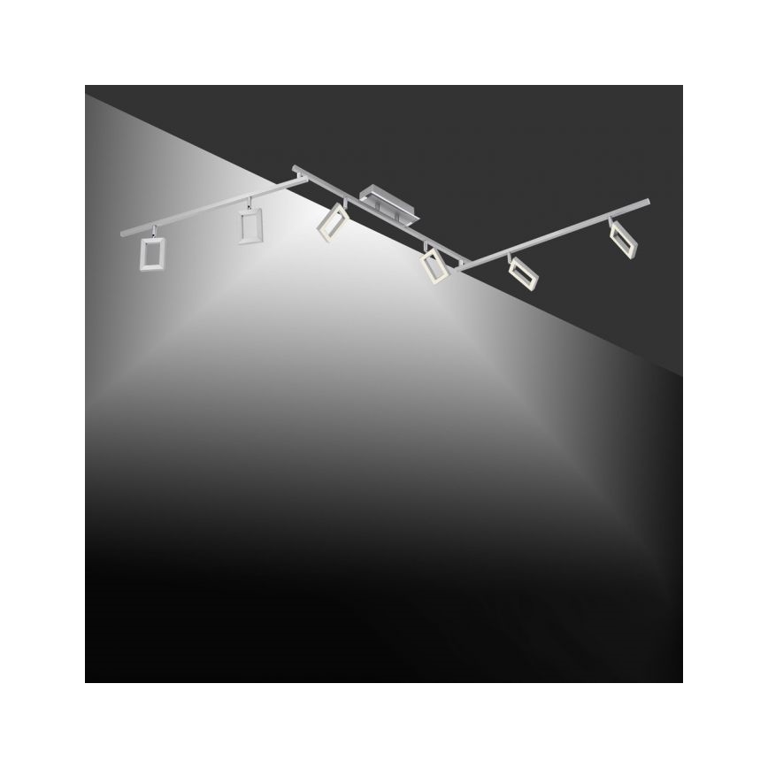 Paul Neuhaus 6965-55 - LED Dimmable φωτιστικό σποτ INIGO 6xLED / 4W / 230V