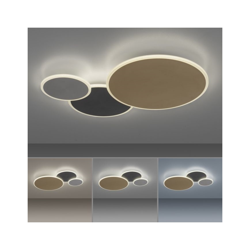 Paul Neuhaus 8007-70 - LED Dimmable φωτιστικό οροφής Q-PIATO LED/35W/230V 2700-5000K Wi-Fi + τηλεχειριστήριο