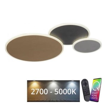 Paul Neuhaus 8007-70 - Ρυθμιζόμενο LED οροφής φωτιστικό Q-PIATO LED/35W/230V 2700-5000K Wi-Fi + τηλεχειριστήριο