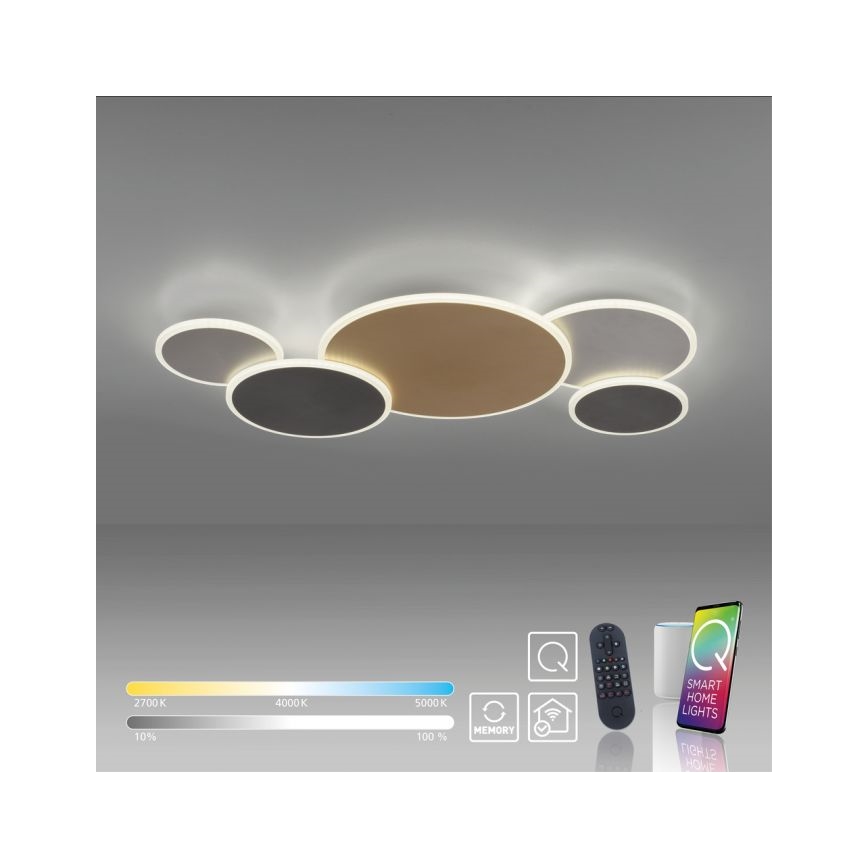 Paul Neuhaus 8008-70 - LED Dimmable φωτιστικό οροφής Q-PIATO LED/49W/230V 2700-5000K Wi-Fi + τηλεχειριστήριο