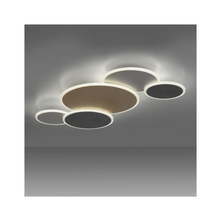 Paul Neuhaus 8008-70 - LED Dimmable φωτιστικό οροφής Q-PIATO LED/49W/230V 2700-5000K Wi-Fi + τηλεχειριστήριο