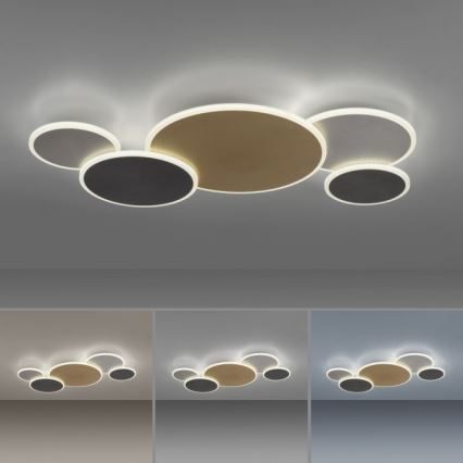 Paul Neuhaus 8008-70 - LED Dimmable φωτιστικό οροφής Q-PIATO LED/49W/230V 2700-5000K Wi-Fi + τηλεχειριστήριο