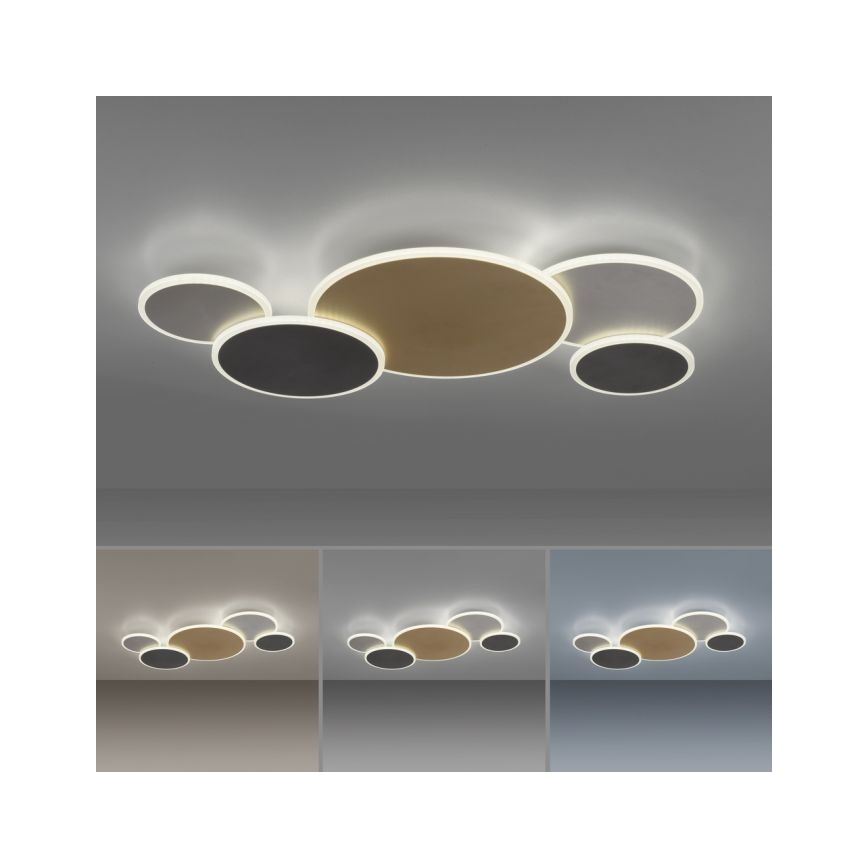 Paul Neuhaus 8008-70 - LED Dimmable φωτιστικό οροφής Q-PIATO LED/49W/230V 2700-5000K Wi-Fi + τηλεχειριστήριο