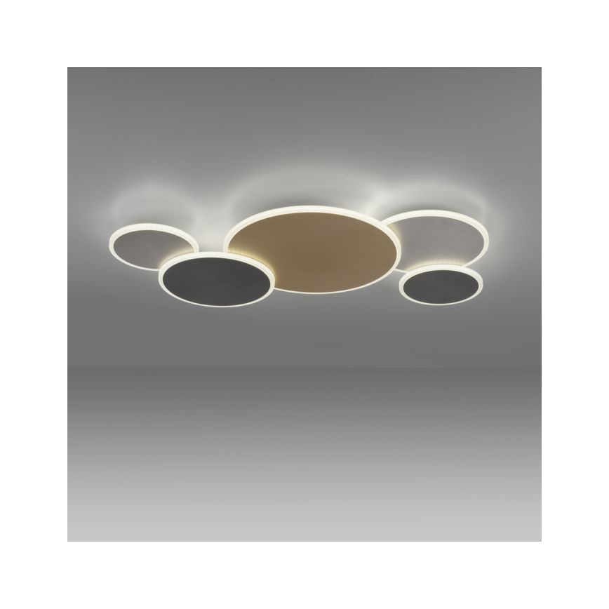 Paul Neuhaus 8008-70 - LED Dimmable φωτιστικό οροφής Q-PIATO LED/49W/230V 2700-5000K Wi-Fi + τηλεχειριστήριο