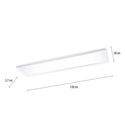 Paul Neuhaus 8112-17 - LED Dimmable πάνελ απλίκα FLAG LED/35W/230V