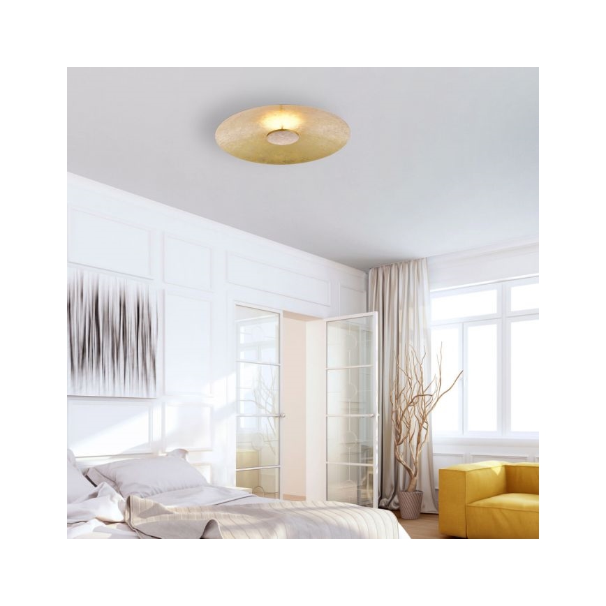 Paul Neuhaus 8132-12 - LED Dimmable φωτιστικό οροφής LED PLAT / 25W / 230V