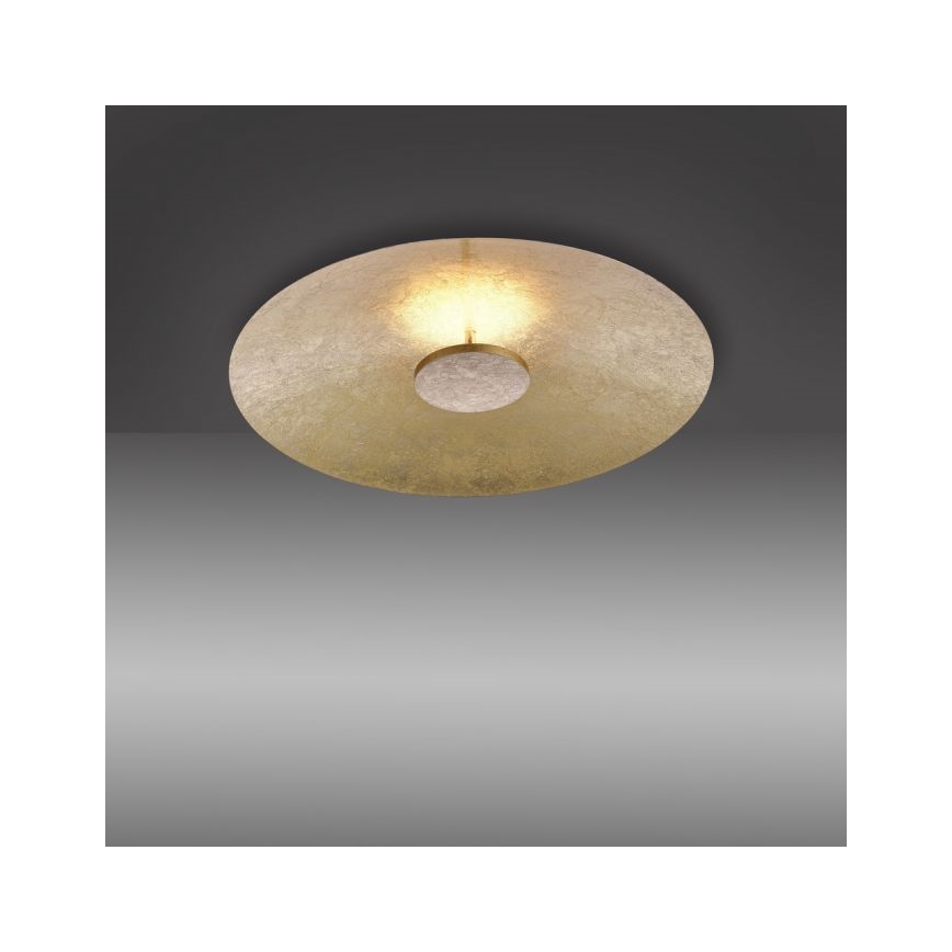 Paul Neuhaus 8132-12 - LED Dimmable φωτιστικό οροφής LED PLAT / 25W / 230V