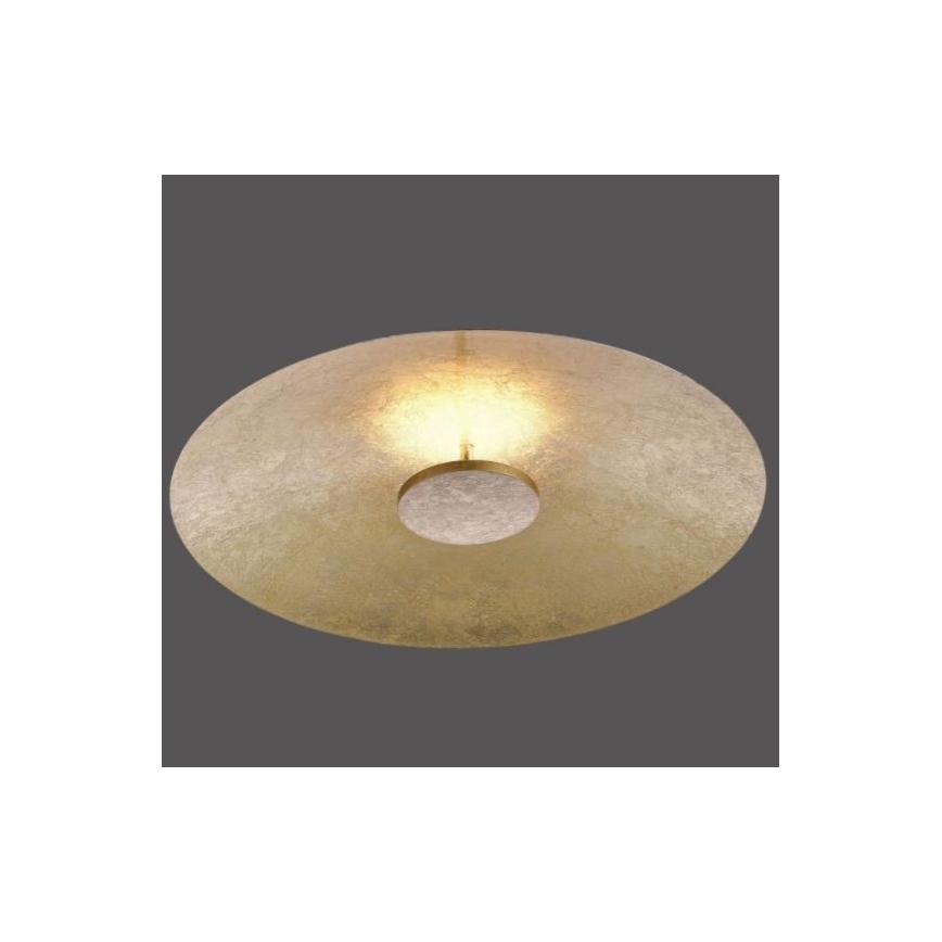 Paul Neuhaus 8132-12 - LED Dimmable φωτιστικό οροφής LED PLAT / 25W / 230V