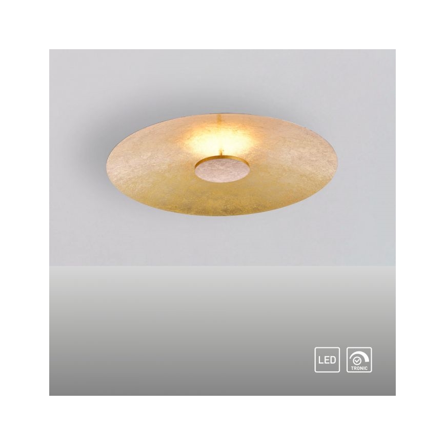 Paul Neuhaus 8132-12 - LED Dimmable φωτιστικό οροφής LED PLAT / 25W / 230V