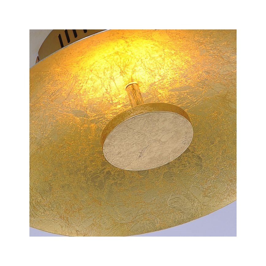 Paul Neuhaus 8132-12 - LED Dimmable φωτιστικό οροφής LED PLAT / 25W / 230V