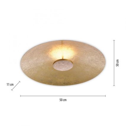 Paul Neuhaus 8132-12 - LED Dimmable φωτιστικό οροφής LED PLAT / 25W / 230V