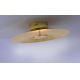 Paul Neuhaus 8132-12 - LED Dimmable φωτιστικό οροφής LED PLAT / 25W / 230V