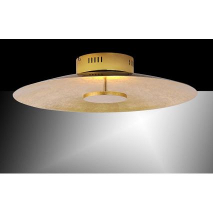 Paul Neuhaus 8132-12 - LED Dimmable φωτιστικό οροφής LED PLAT / 25W / 230V