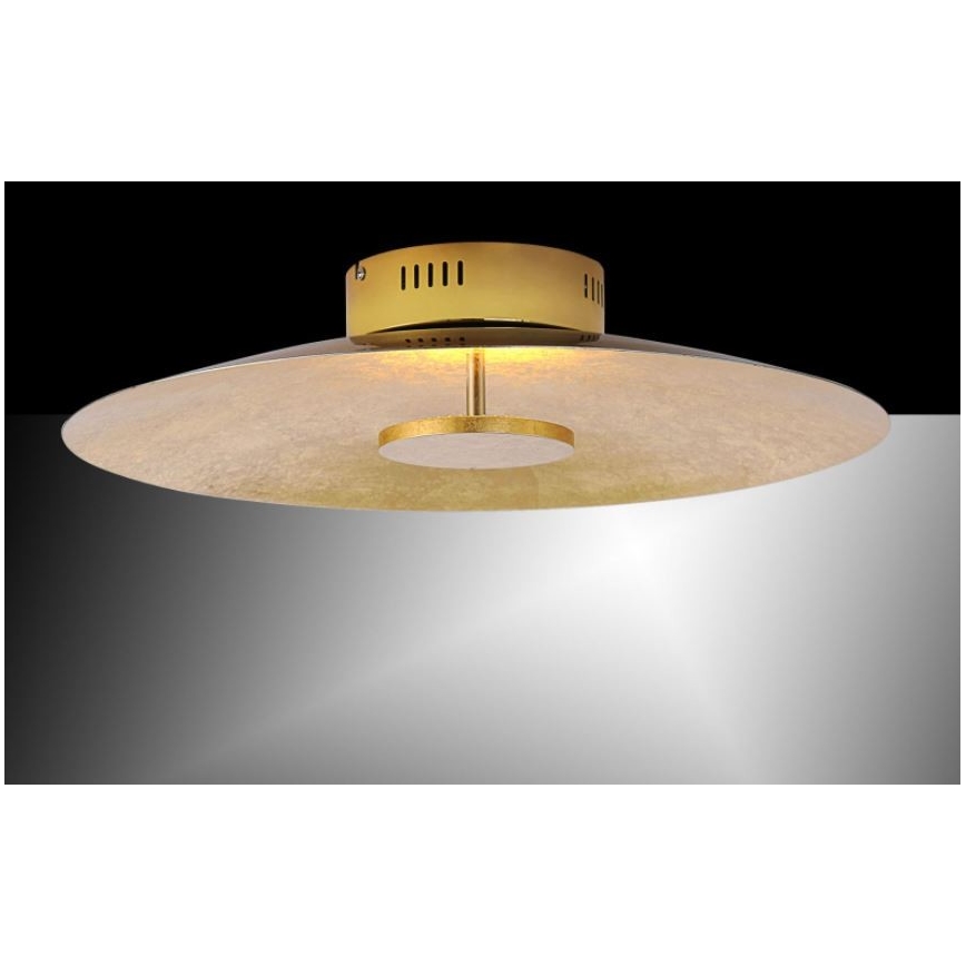 Paul Neuhaus 8132-12 - LED Dimmable φωτιστικό οροφής LED PLAT / 25W / 230V
