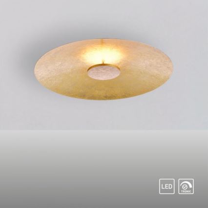 Paul Neuhaus 8132-12 - LED Dimmable φωτιστικό οροφής LED PLAT / 25W / 230V