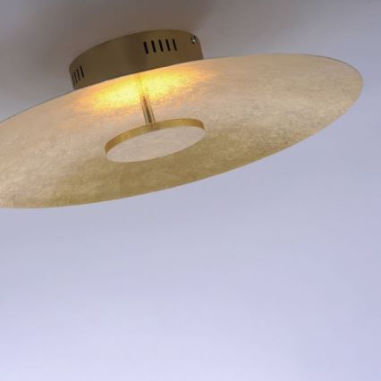 Paul Neuhaus 8132-12 - LED Dimmable φωτιστικό οροφής LED PLAT / 25W / 230V