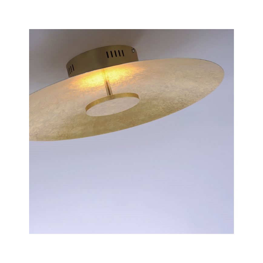 Paul Neuhaus 8132-12 - LED Dimmable φωτιστικό οροφής LED PLAT / 25W / 230V