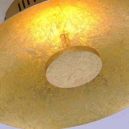Paul Neuhaus 8132-12 - LED Dimmable φωτιστικό οροφής LED PLAT / 25W / 230V