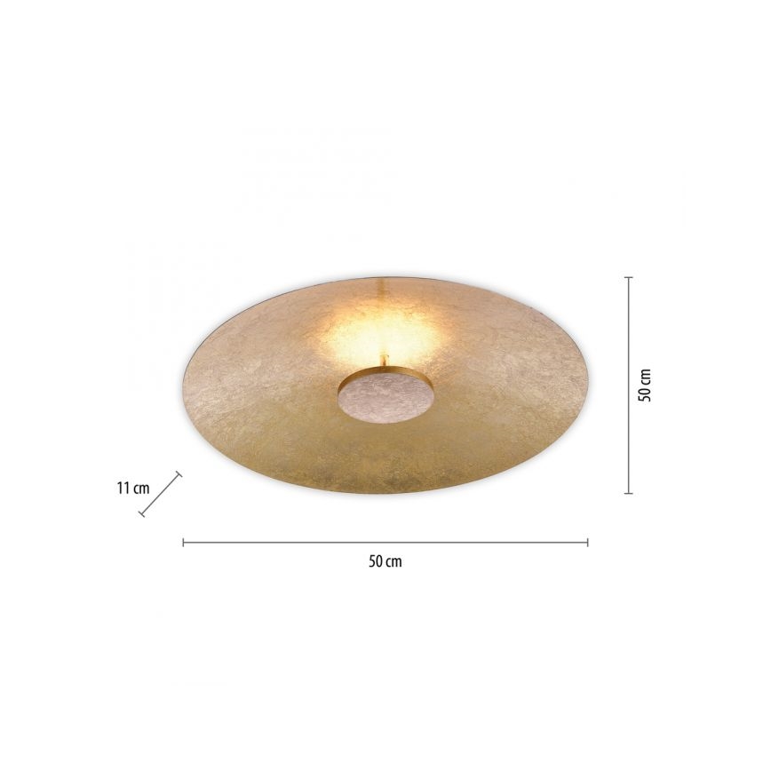 Paul Neuhaus 8132-12 - LED Dimmable φωτιστικό οροφής LED PLAT / 25W / 230V