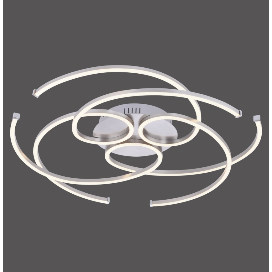 Paul Neuhaus 8165-55 - Φως οροφής dimmer LED DANILO 3xLED/12W/230V