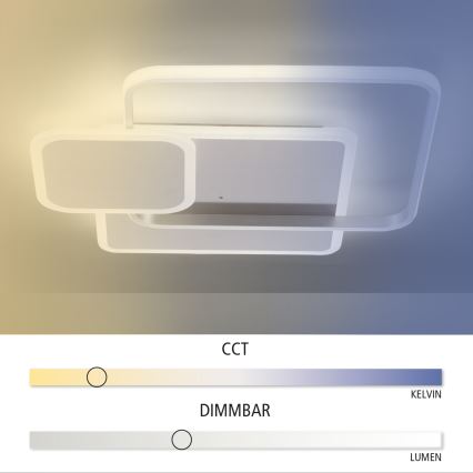 Paul Neuhaus 8319-55 - Φως οροφής dimmer LED EMILIO LED/53W/230V + τηλεχειριστήριο