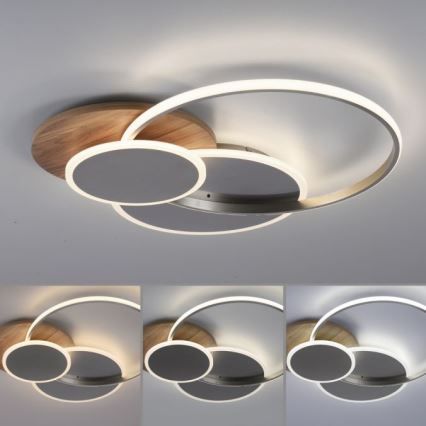 Paul Neuhaus 8328-79 - LED Dimmable φωτιστικό οροφής PALMA LED/50W/230V 2700-5000K πεύκο + τηλεχειριστήριο