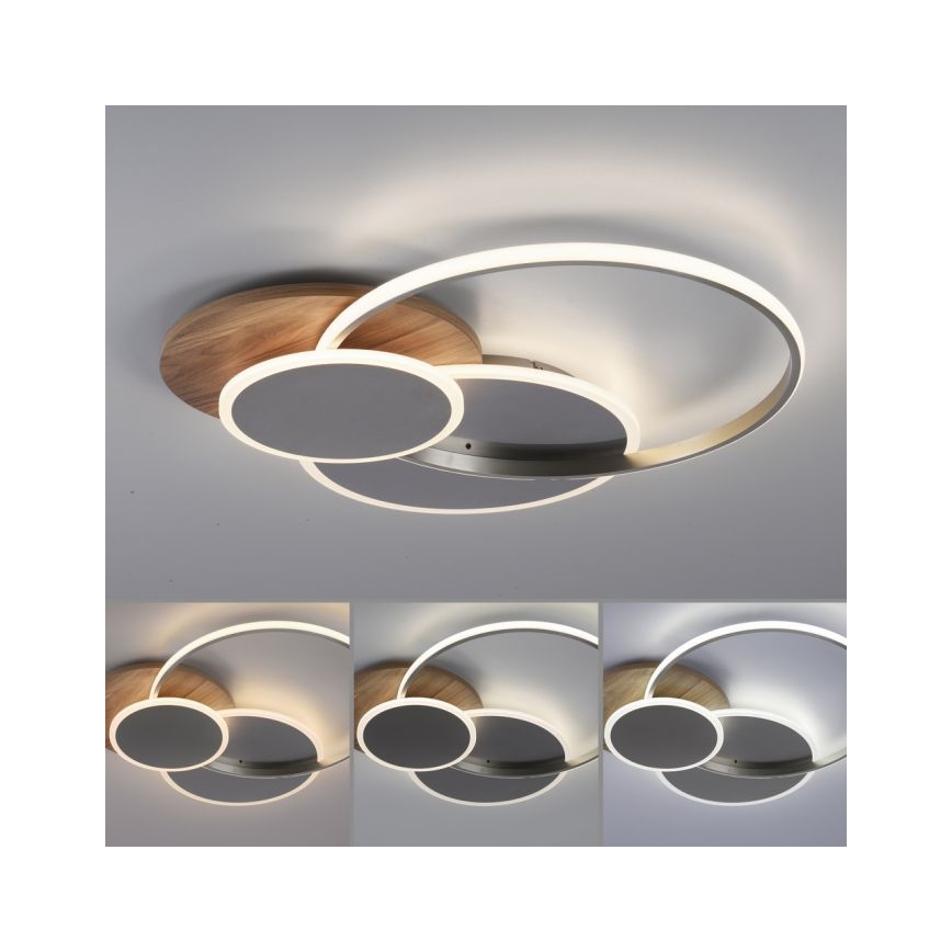 Paul Neuhaus 8328-79 - LED Dimmable φωτιστικό οροφής PALMA LED/50W/230V 2700-5000K πεύκο + τηλεχειριστήριο