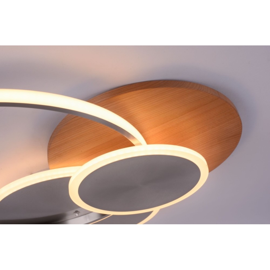 Paul Neuhaus 8328-79 - LED Dimmable φωτιστικό οροφής PALMA LED/50W/230V 2700-5000K πεύκο + τηλεχειριστήριο