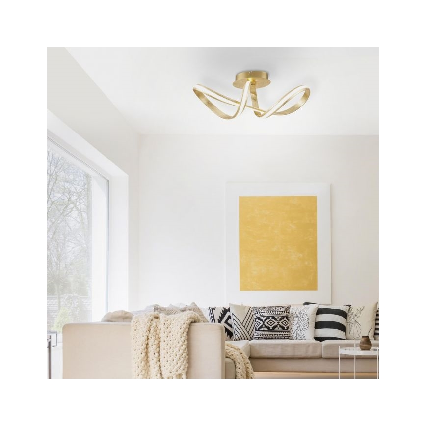 Paul Neuhaus 8331-12 - Πλαφονιέρα οροφής ντιμαριζόμενη  LED MELINDA LED/30W/230V