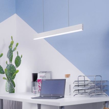 Paul Neuhaus 8363-55 - LED Dimmable  κρεμαστό φωτιστικό οροφής ράγα με αισθητήρα ARINA LED/20W/230V